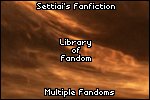 personal fanfiction site